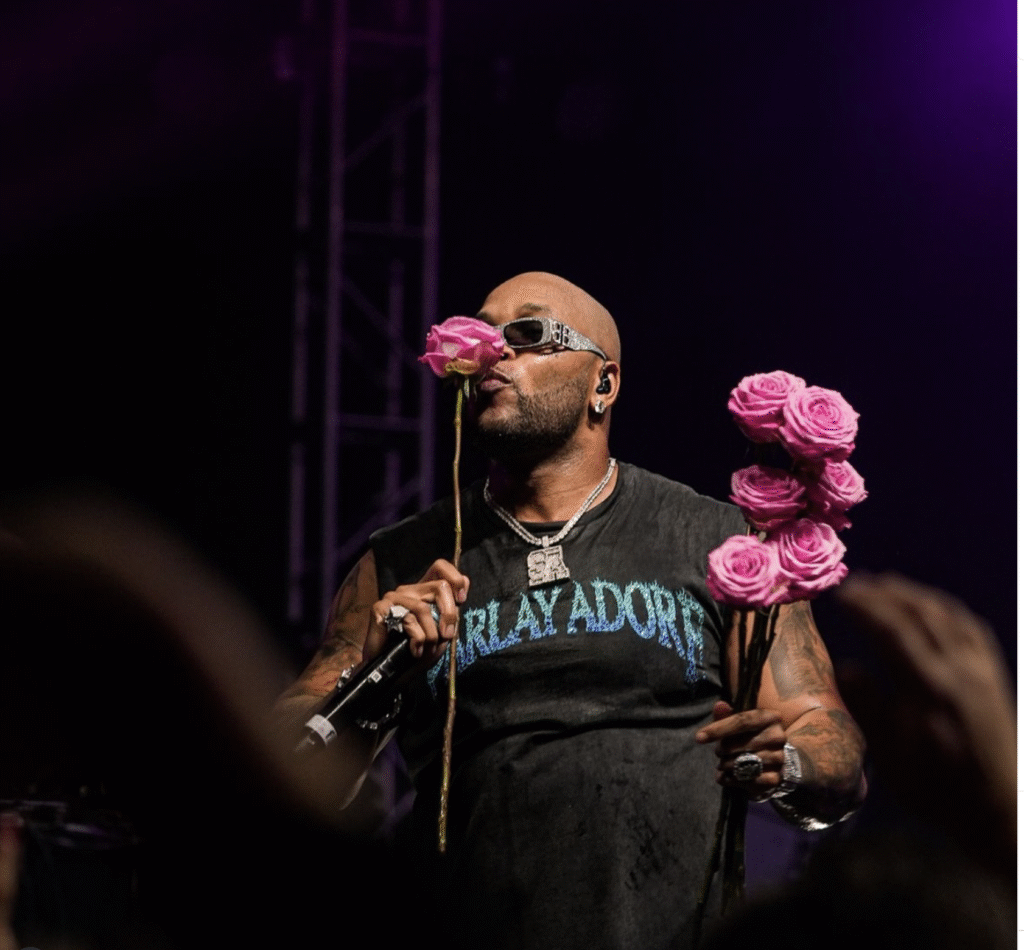 Rapper Flo Rida takes the stage at the Houston Astros Foundation Diamond & Dreams gala.
